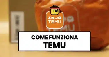 come-funziona-temu